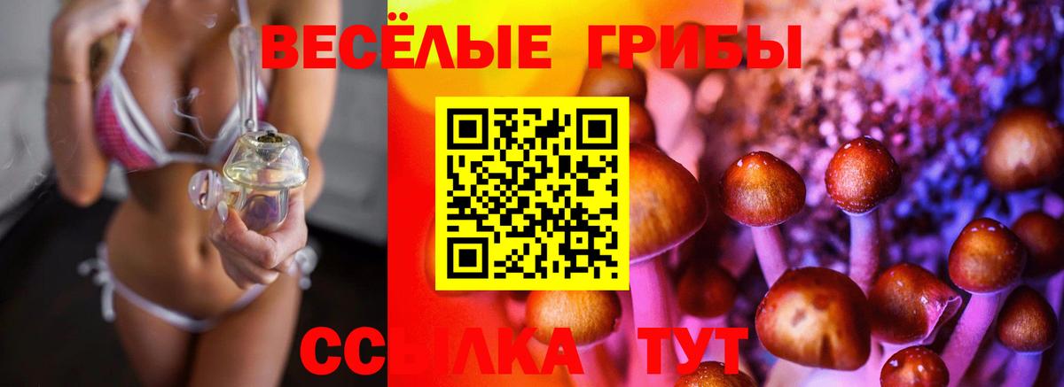 как найти закладки  Вход с VPN  Мирный  Галлюциногенные грибы Cubensis 