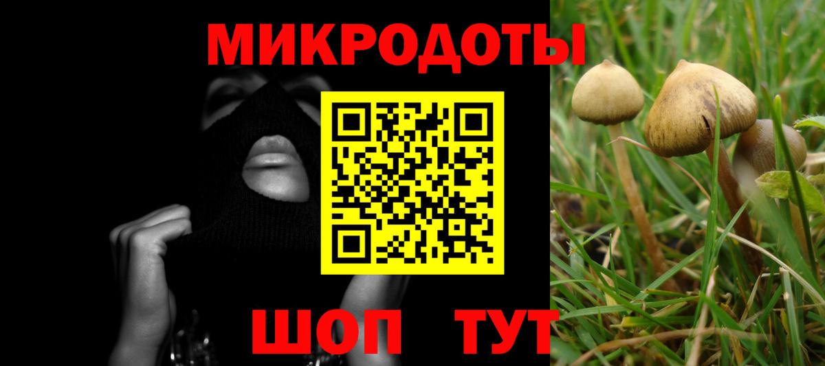Псилоцибиновые грибы Psilocybine cubensis Мирный